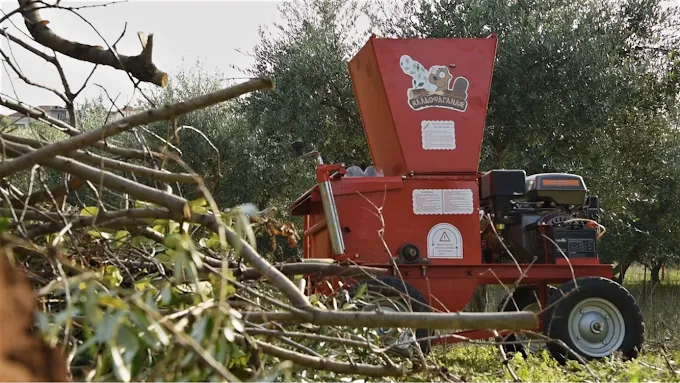 Κατάστημα Stolizo – βιτρίνα με χριστουγεννιάτικα διακοσμητικά και είδη δώρων